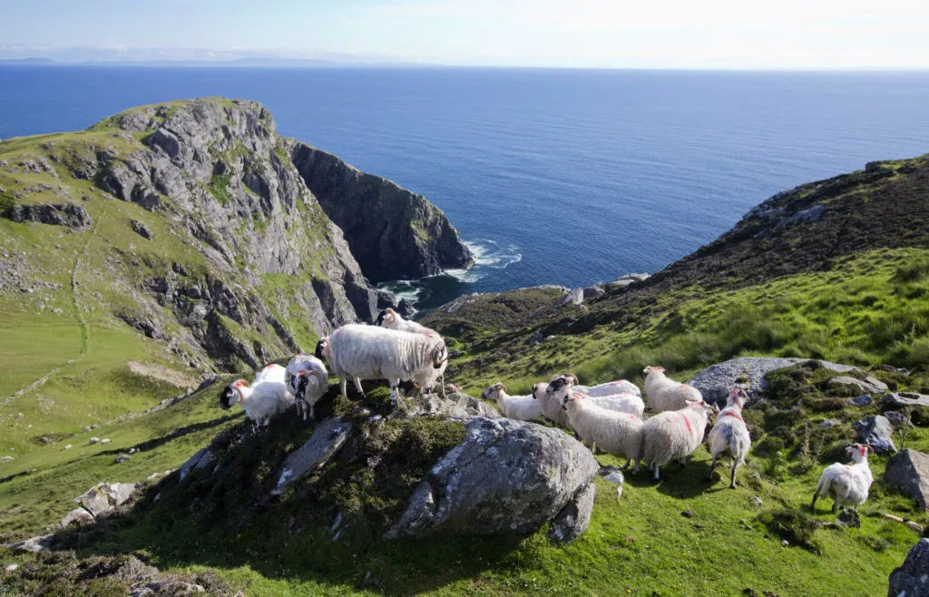 Irland Slieve League Cliffs