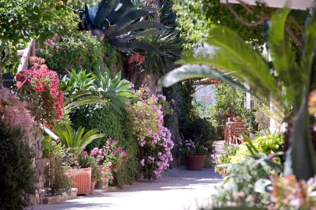 Zauberhafter Garten_Hotel Villa Melodie Ischia