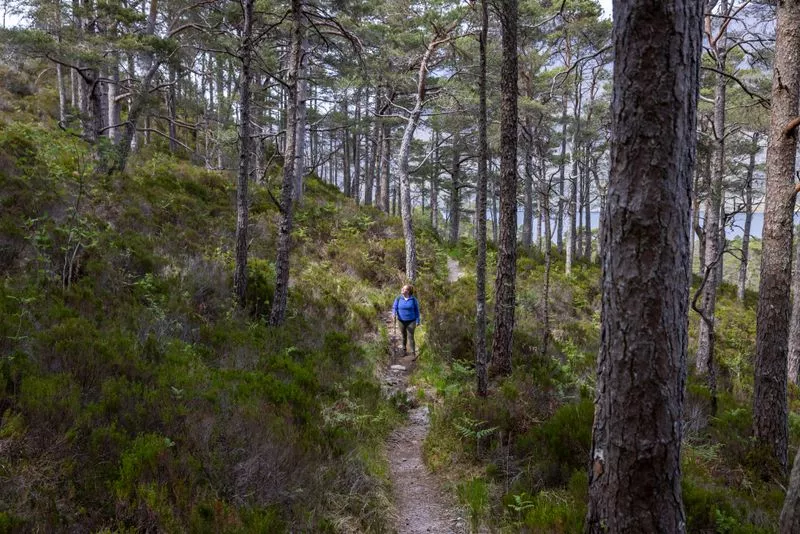 Beinn-Eighe-National-Nature-Reserve Scotland